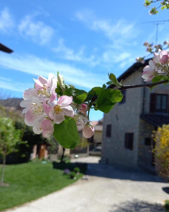 Ponte Nizza La Pomella 빌라 외부 사진